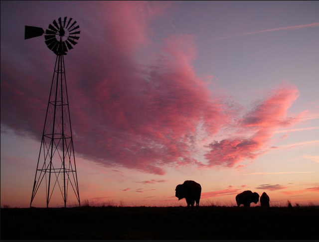 Alle voorbeeldreizen