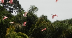 Reizen in Costa Rica is.., je zo vrij voelen als een vogel!