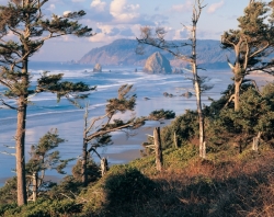 Ongerepte kustlijn en prachtige vergezichten over de Grote Oceaan in Oregon en Washington