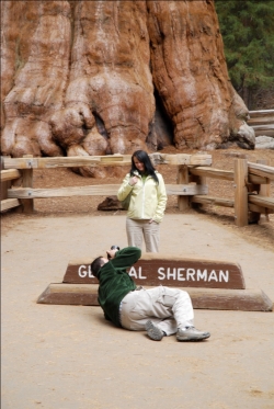 Immense sequoia's, niet te fotograferen, dus tijd plannen om het te ervaren!
