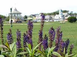 Martha's Vineyard