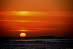 Zonsondergang bij Key West
